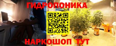 ешки Новозыбков