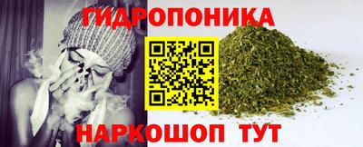 ешки Новозыбков
